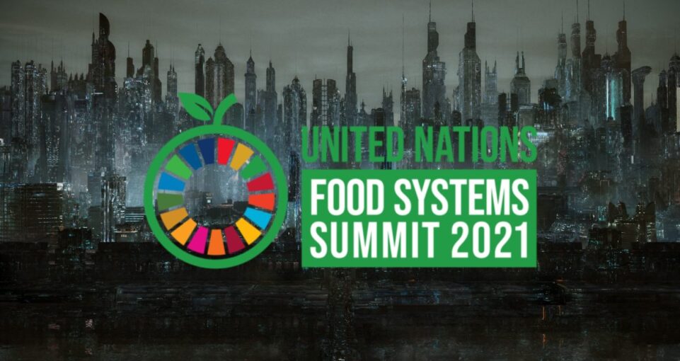 UN Food Summit is Spearheading the Great Reset and Agenda 2030 DNB