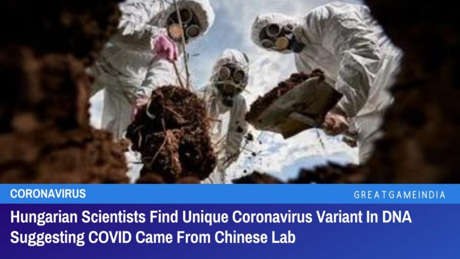 Explosive! Hungarian Scientists Find Unique Coronavirus Variant in DNA Suggesting COVID Came from Chinese Lab - DNB
